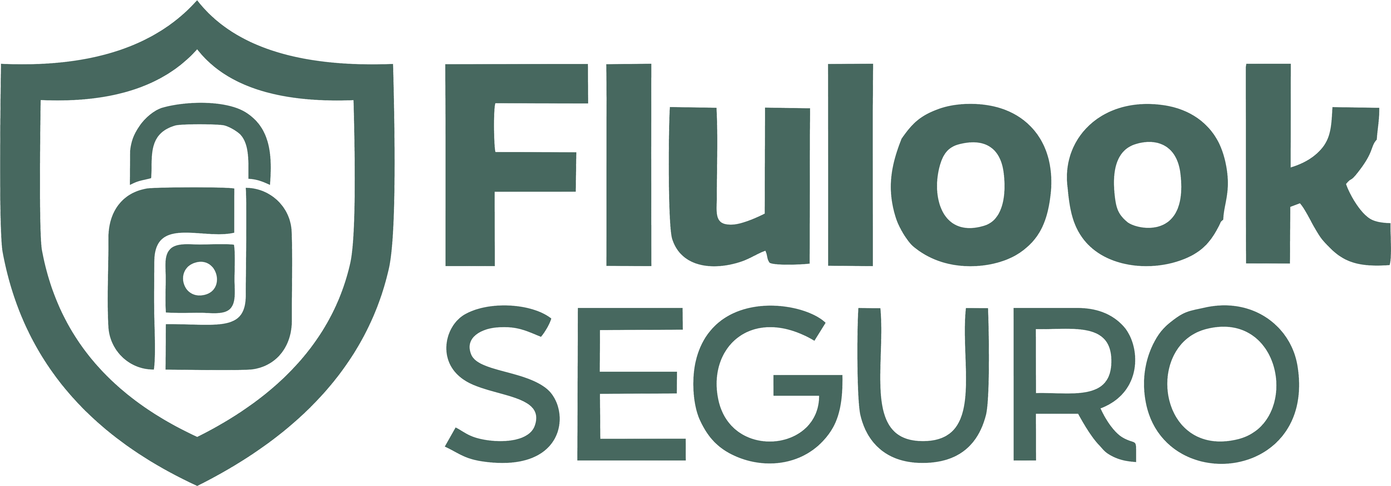 Logo Flulook Seguro